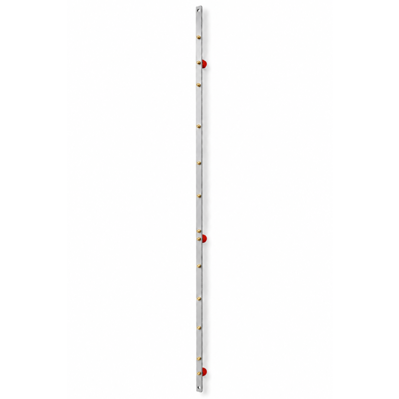 Aarding rail 42U